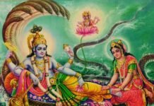 ಏಕಾದಶಿ 2024 ಪೂರ್ಣ ಪಟ್ಟಿ: ಈ ವರ್ಷದ ಏಕಾದಶಿ ಉಪವಾಸ ದಿನಗಳ ಸಂಪೂರ್ಣ ವಿವರ